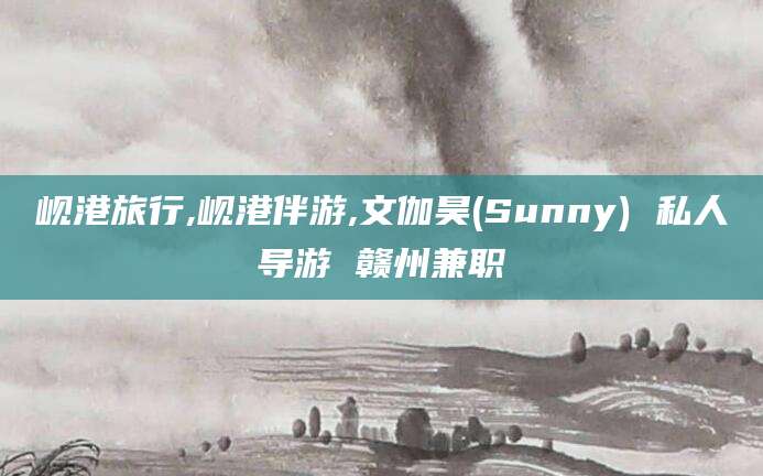 兴化岘港旅行,岘港伴游,文伽昊(Sunny) 私人导游 赣州兼职