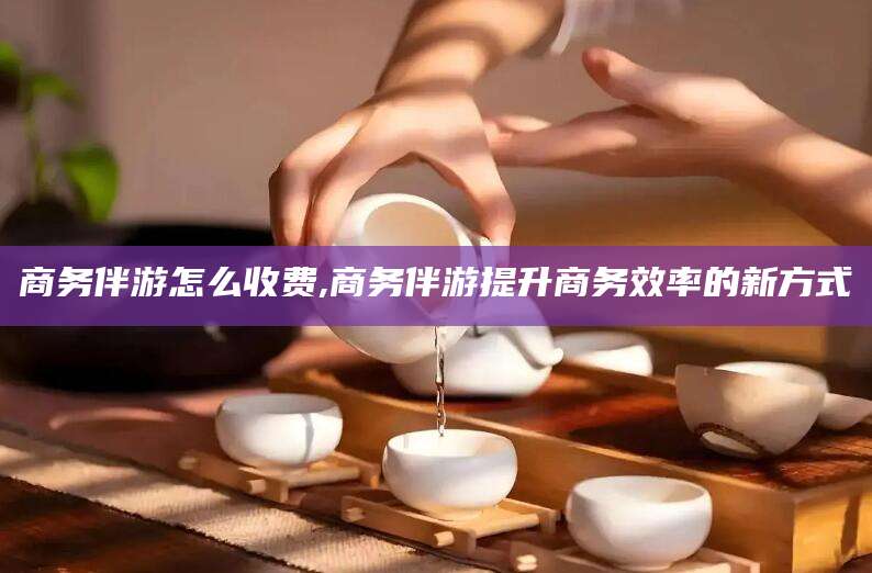 兴化商务伴游怎么收费,商务伴游提升商务效率的新方式