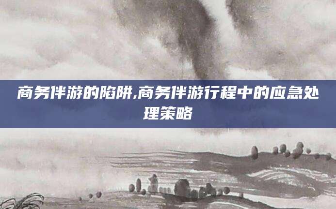 兴化商务伴游的陷阱,商务伴游行程中的应急处理策略
